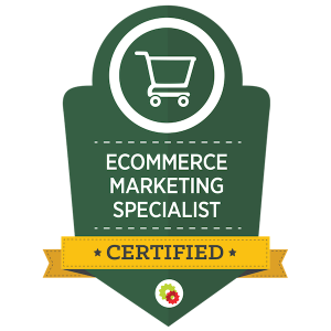 eCommerce marketing expert